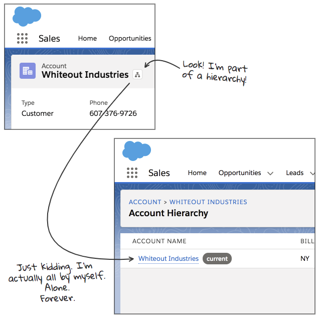 Salesforce's account hierarchy indicator shows up even for a single account